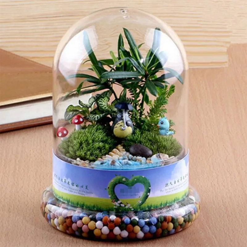 Glass Dome Terrarium Vase with Base – Mini Moss & Succulent Plant Display