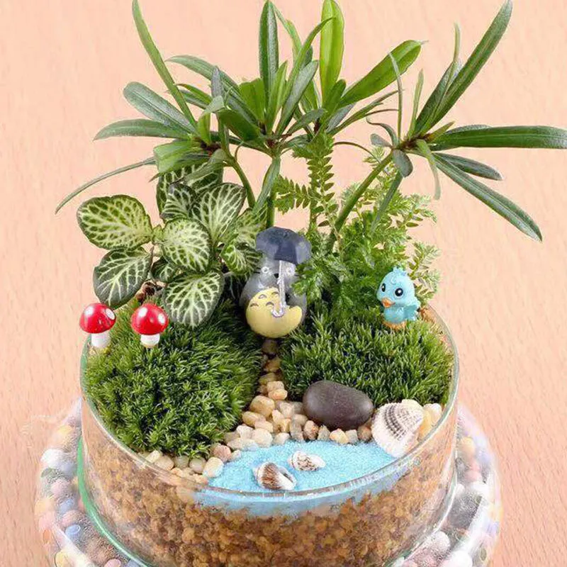 Glass Dome Terrarium Vase with Base – Mini Moss & Succulent Plant Display - Image 6