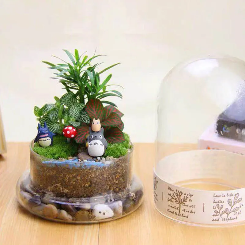 Glass Dome Terrarium Vase with Base – Mini Moss & Succulent Plant Display - Image 5