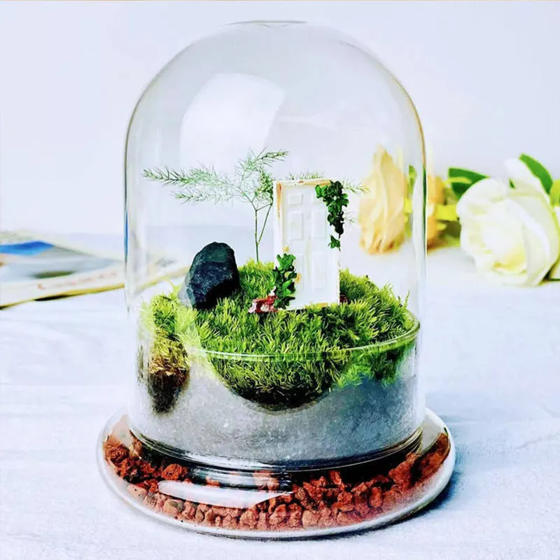 Glass Dome Terrarium Vase with Base – Mini Moss & Succulent Plant Display - Image 3