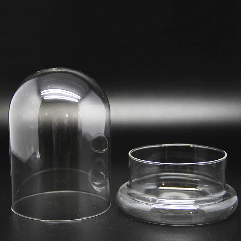 Glass Dome Terrarium Vase with Base – Mini Moss & Succulent Plant Display - Image 7
