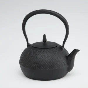 Japanese Traditional Cast Iron Teapot – Nambu Ironware Arale Pattern